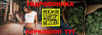 a pvp Тула